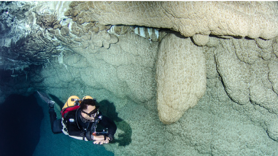 Gruta do Mimoso - Mergulho — Bonito MS Brazil ecotourism tour photo 6