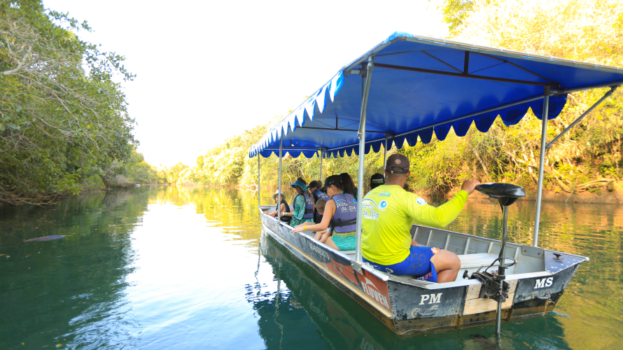Eco Park Porto da Ilha - Barco Elétrico — Bonito MS Brazil ecotourism tour photo 5