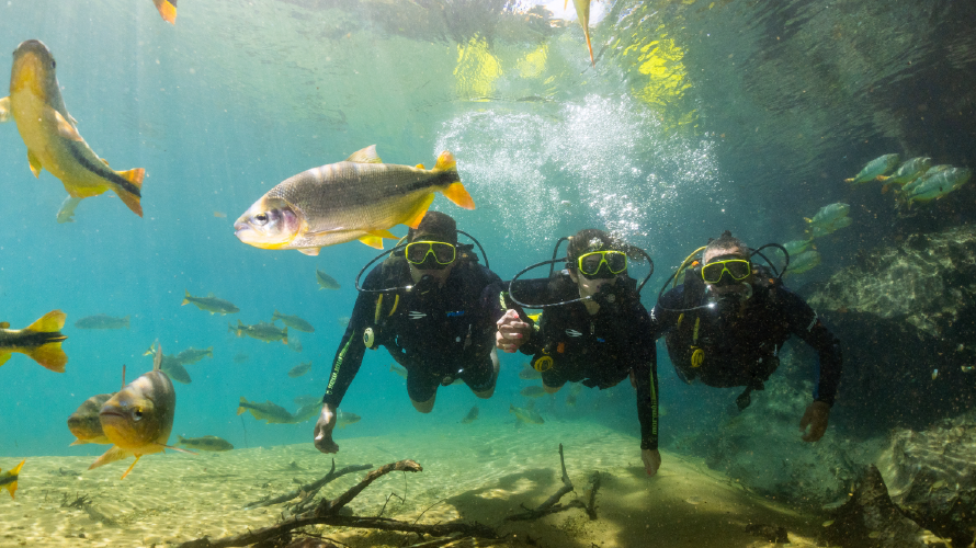 Rio da Prata - Mergulho — Bonito MS Brazil ecotourism tour photo 4