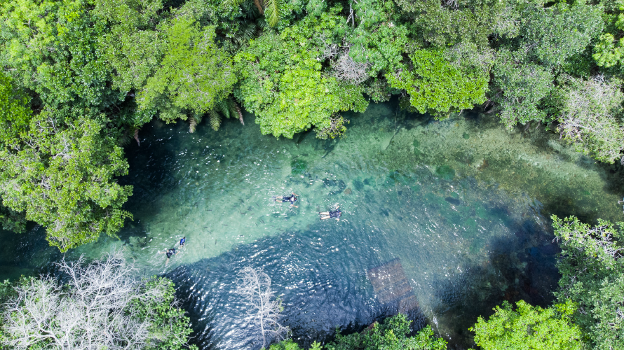 Praia da Figueira - Flutuação e Balneário — Bonito MS Brazil ecotourism tour photo 5