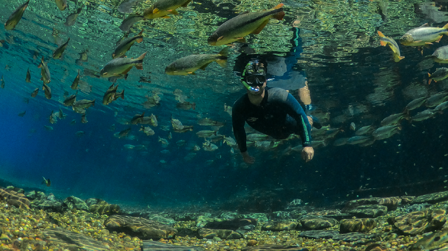 Rio da Prata - Flutuação — Bonito MS Brazil ecotourism tour photo 2