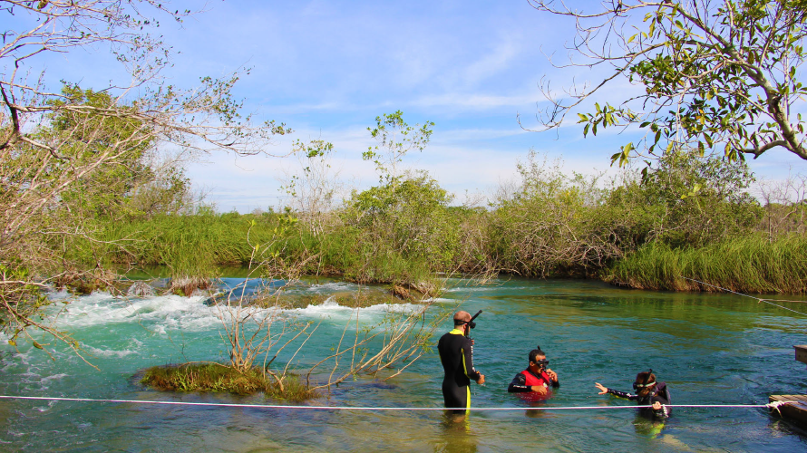 Parque Ecológico Rio Formoso - Trilha do Formoso — Bonito MS Brazil ecotourism tour photo 3