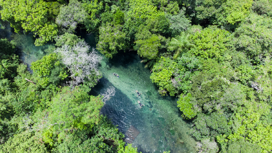 Praia da Figueira - Flutuação e Balneário — Bonito MS Brazil ecotourism tour photo 3