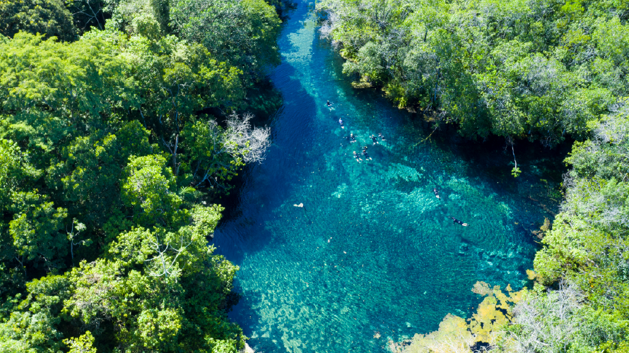 Rio da Prata - Flutuação — Bonito MS Brazil ecotourism tour photo 5