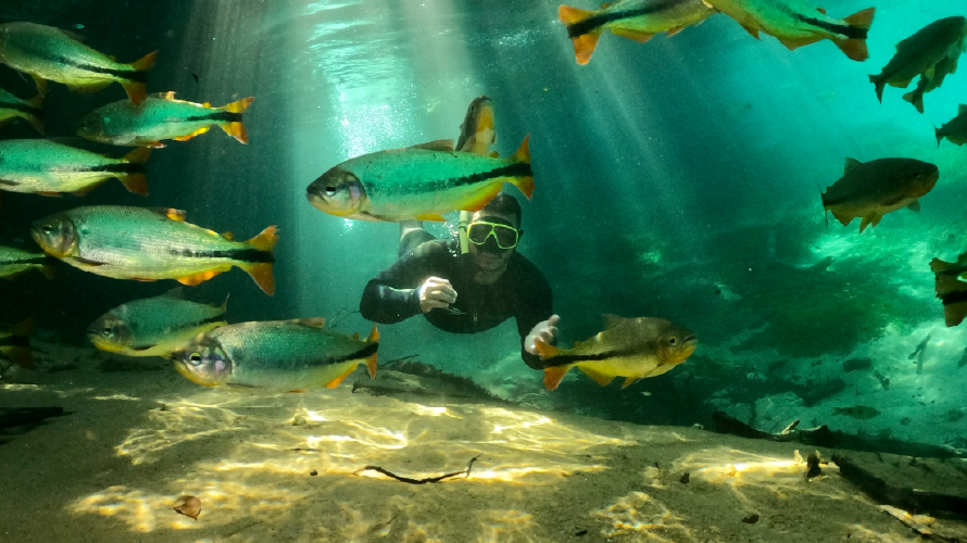 Rio da Prata - Flutuação — Bonito MS Brazil ecotourism tour photo 6