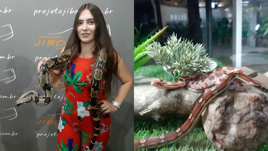 Projeto Jibóia — Bonito MS Brazil ecotourism tour photo 2