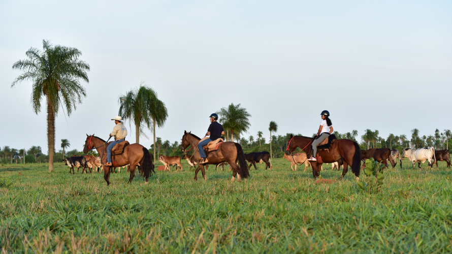 Rio da Prata - Cavalgada — Bonito MS Brazil ecotourism tour photo 2