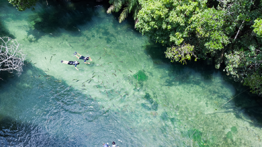 Praia da Figueira - Flutuação e Balneário