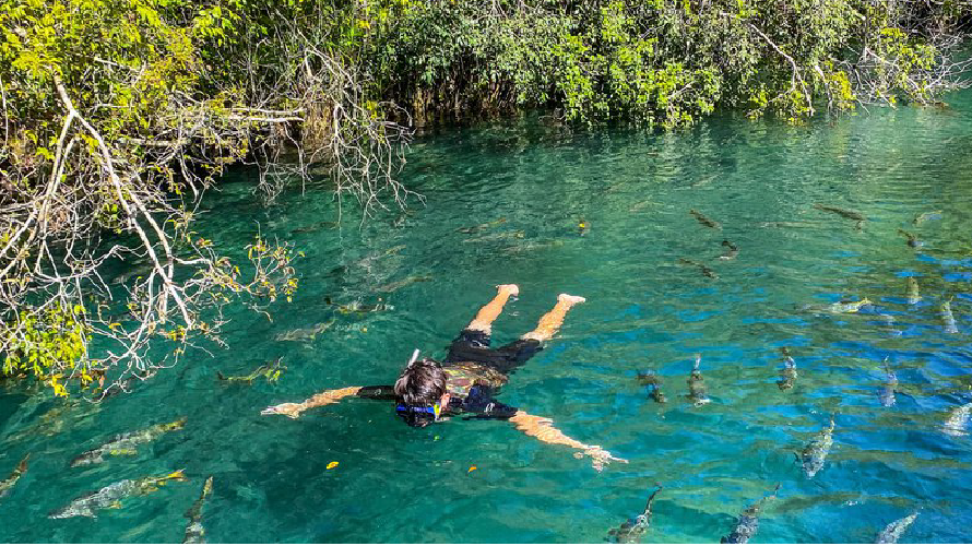 Praia da Figueira - Flutuação e Balneário — Bonito MS Brazil ecotourism tour photo 2
