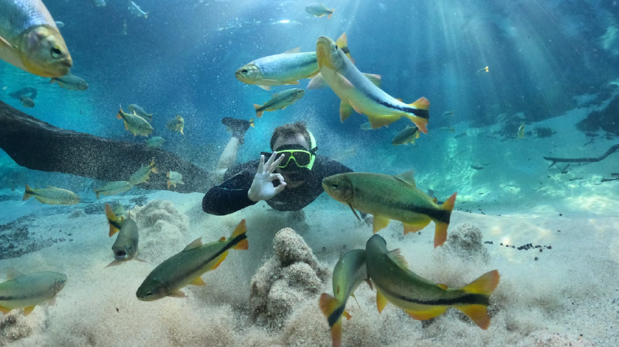 Rio da Prata - Flutuação — Bonito MS Brazil ecotourism tour photo 7