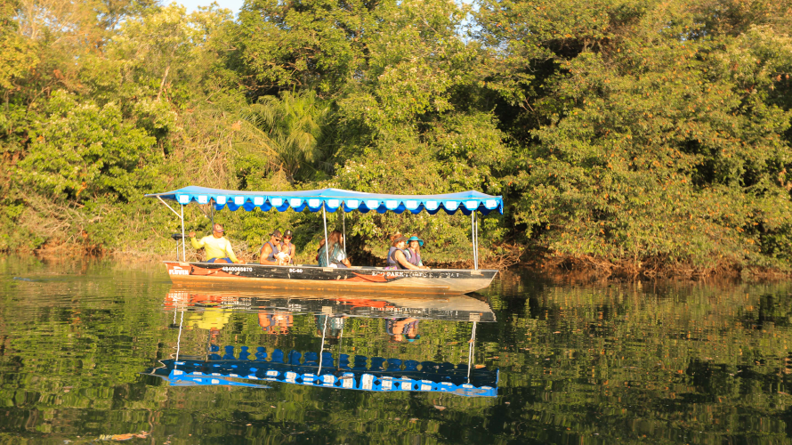 Eco Park Porto da Ilha - Barco Elétrico — Bonito MS Brazil ecotourism tour photo 6