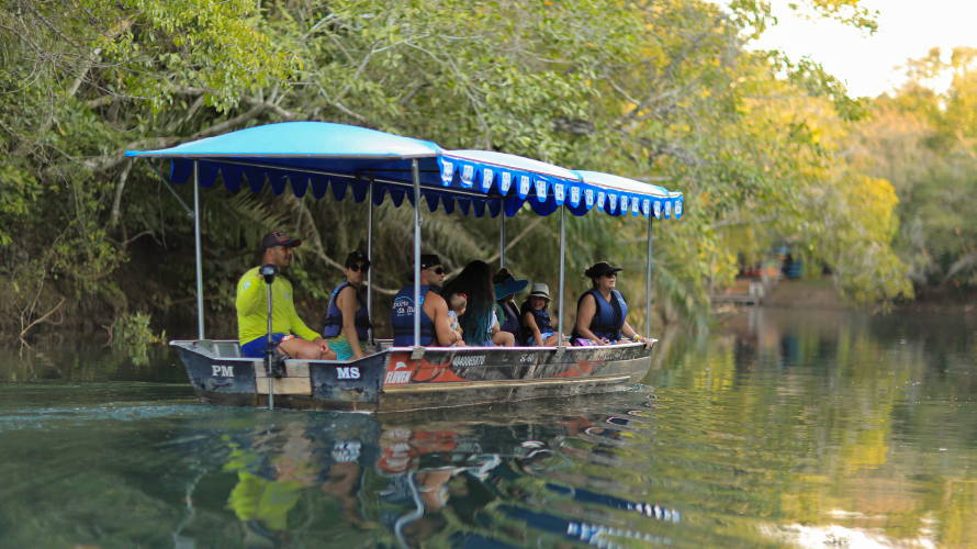 Eco Park Porto da Ilha - Barco Elétrico — Bonito MS Brazil ecotourism tour photo 4