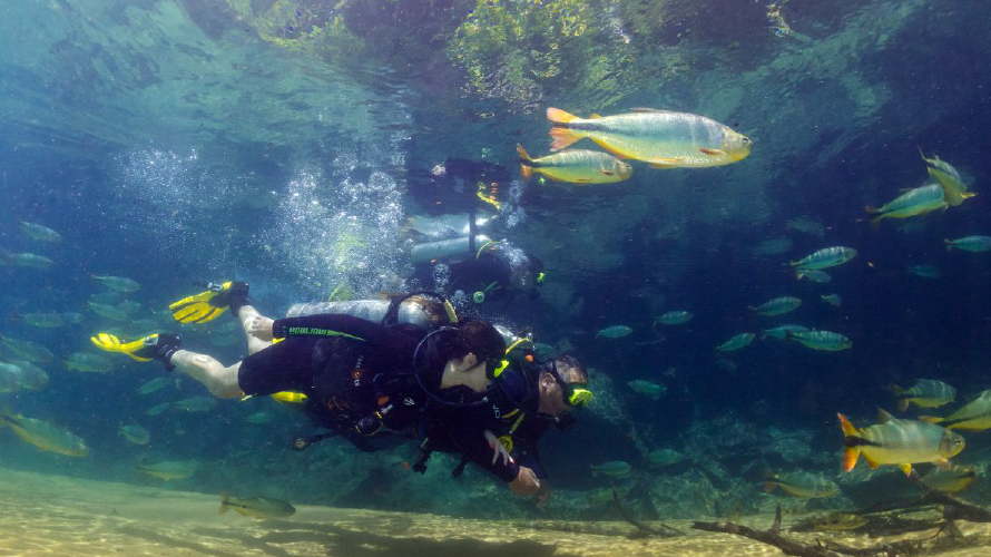 Rio da Prata - Mergulho — Bonito MS Brazil ecotourism tour photo 3